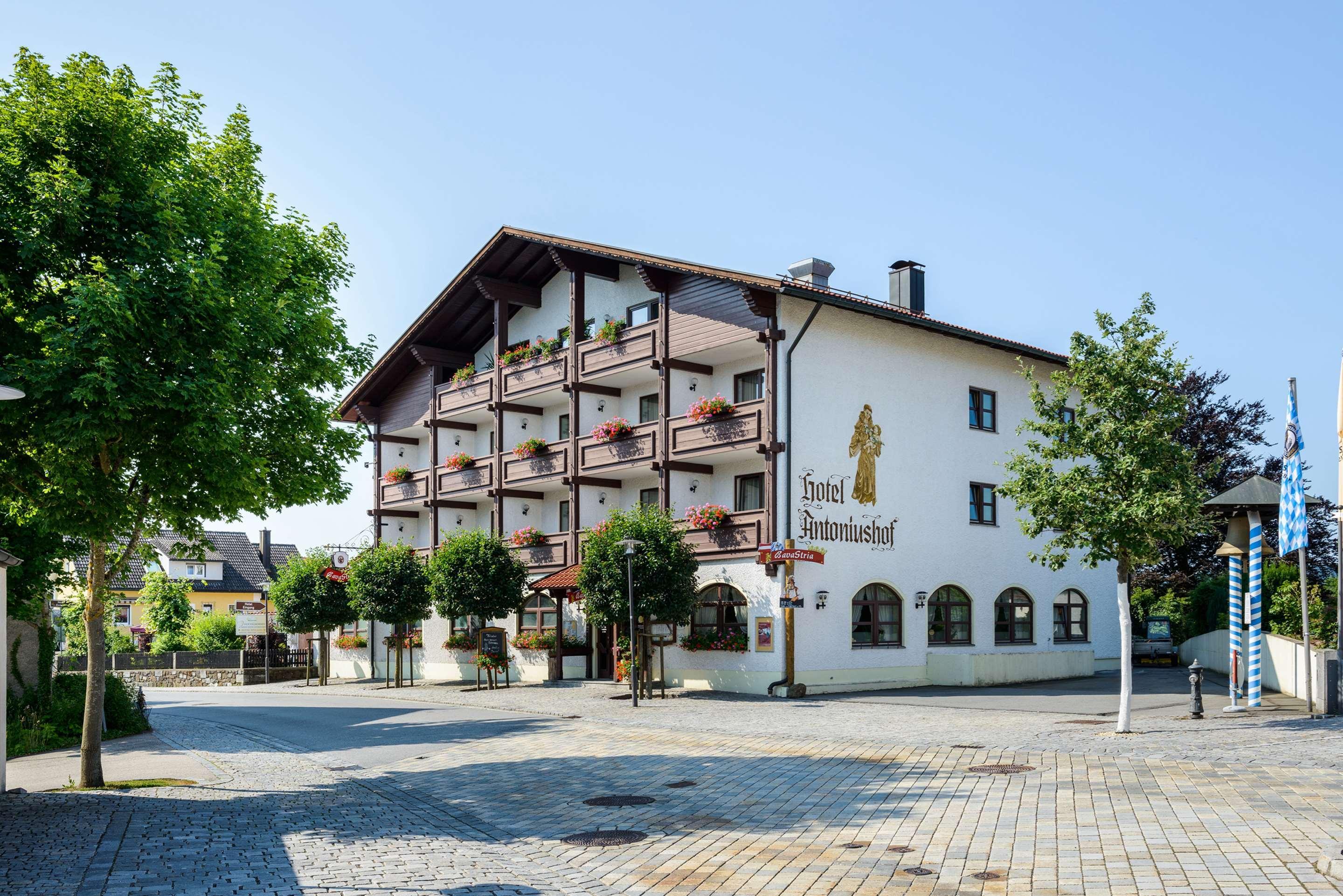 Best Western Hotel Antoniushof (Adults Only) Schönberg Esterno foto